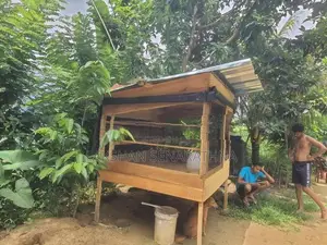 Bird Cage