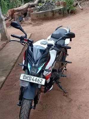 Bajaj Pulsar NS200 2025