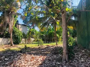 Land for Sale in Ranna, Tangalle (Sisil Uyana)