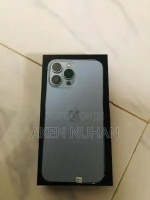Apple iPhone 13 Pro Max (Used)