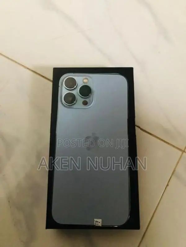 Apple iPhone 13 Pro Max (Used)