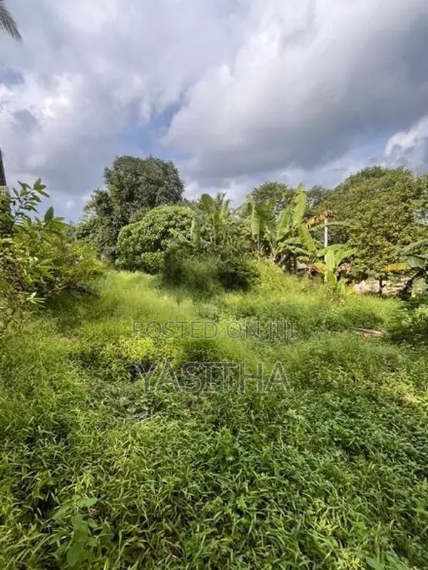 Land for Sale Kaduwela