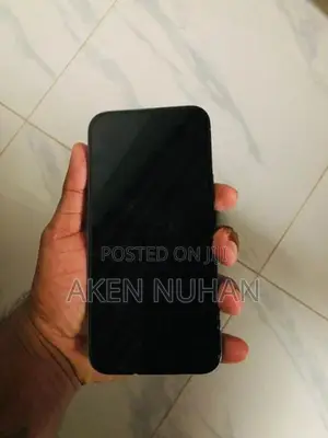 Apple iPhone 13 Pro Max (Used)
