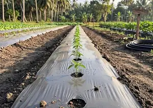 වල් මර්ධක පොලිතීන් (Mulch Film )