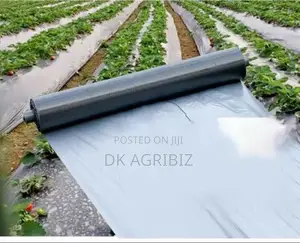 වල් මර්ධක පොලිතීන් (Mulch Film )