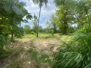 දම්ඹදෙණිය නගරයේ පර්චස් 62 ඉඩමක් විකිණීමට ඇත.
