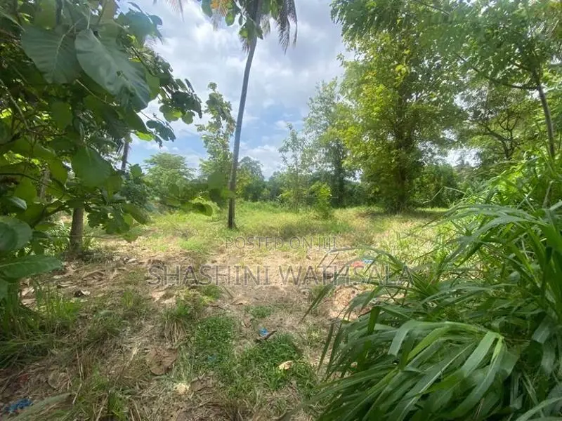 දම්ඹදෙණිය නගරයේ පර්චස් 62 ඉඩමක් විකිණීමට ඇත.