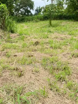 දම්ඹදෙණිය නගරයේ පර්චස් 62 ඉඩමක් විකිණීමට ඇත.