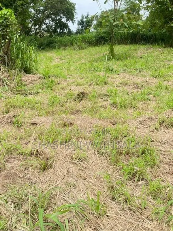 දම්ඹදෙණිය නගරයේ පර්චස් 62 ඉඩමක් විකිණීමට ඇත.