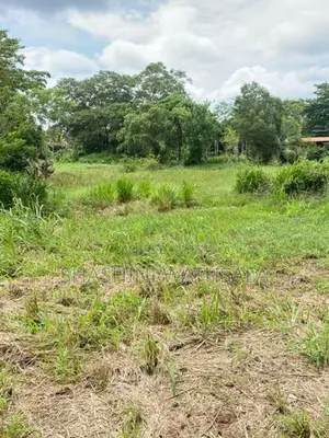 දම්ඹදෙණිය නගරයේ පර්චස් 62 ඉඩමක් විකිණීමට ඇත.