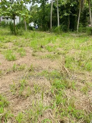 දම්ඹදෙණිය නගරයේ පර්චස් 62 ඉඩමක් විකිණීමට ඇත.