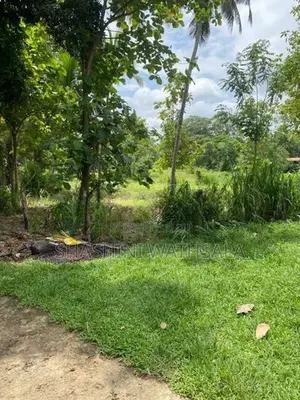 දම්ඹදෙණිය නගරයේ පර්චස් 62 ඉඩමක් විකිණීමට ඇත.