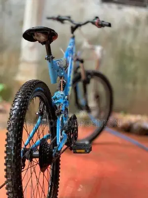Kenton Bicycle