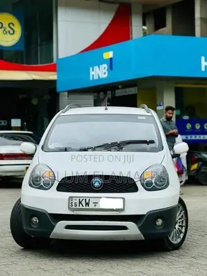 Micro Panda 2013
