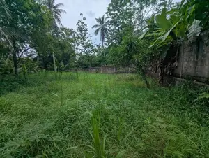 Nittambuwa අගනා ඉඩමක්