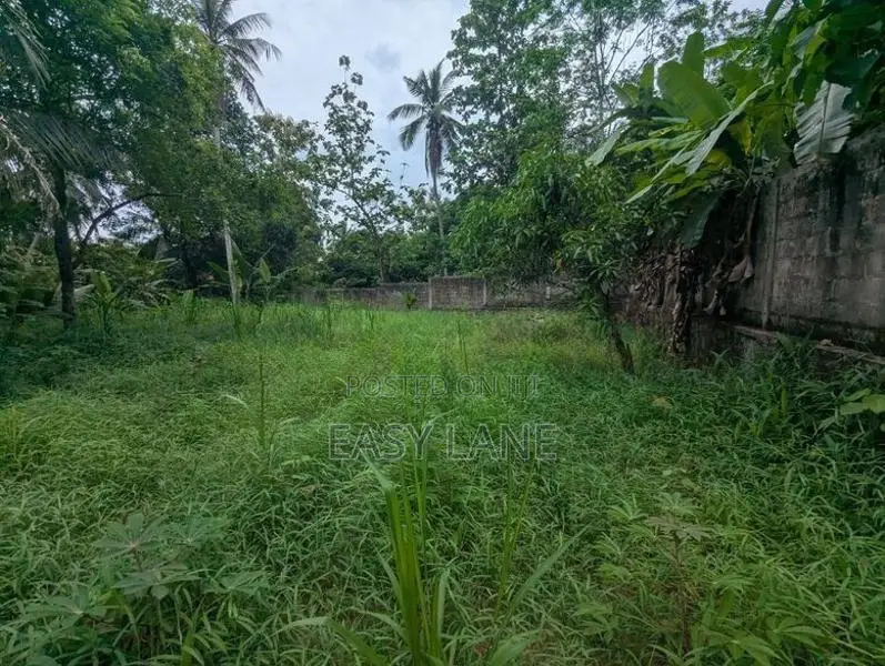 Nittambuwa අගනා ඉඩමක්