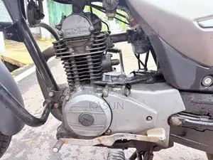 Bajaj Platina 2014