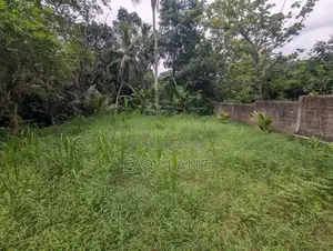 Nittambuwa අගනා ඉඩමක්