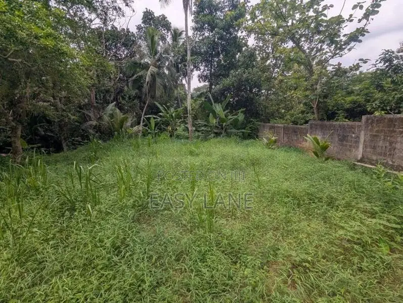 Nittambuwa අගනා ඉඩමක්
