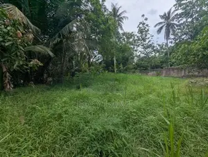 Nittambuwa අගනා ඉඩමක්