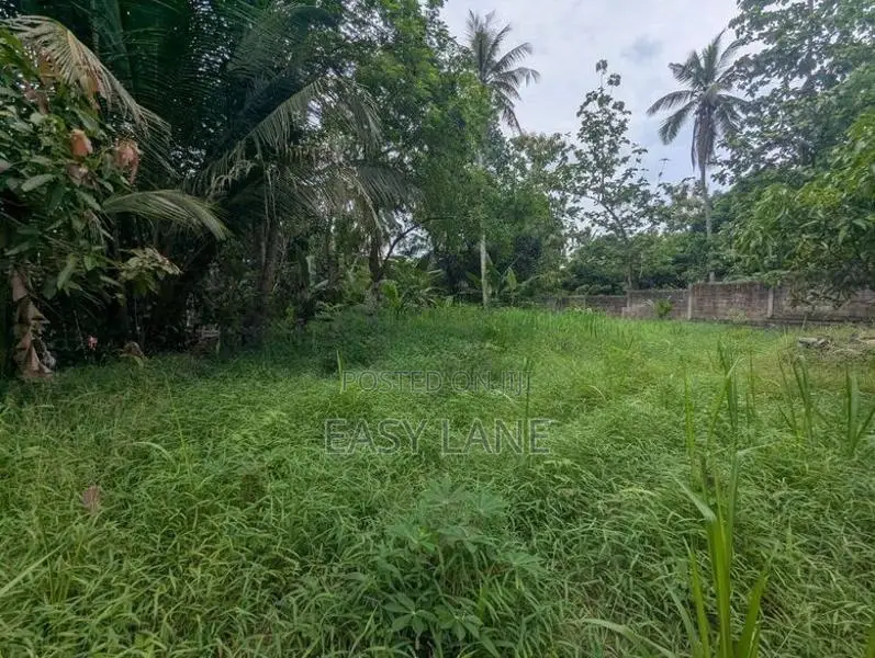 Nittambuwa අගනා ඉඩමක්