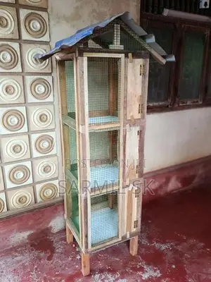 புறா கூடு
