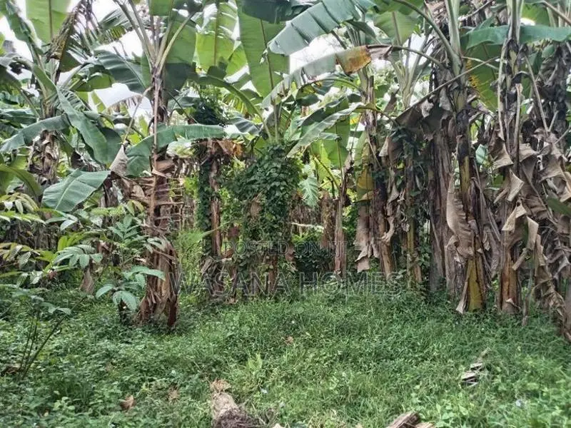 Land for Sale Boralesgamuwa