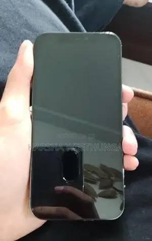 Apple iPhone 12 Pro 256GB (Used)