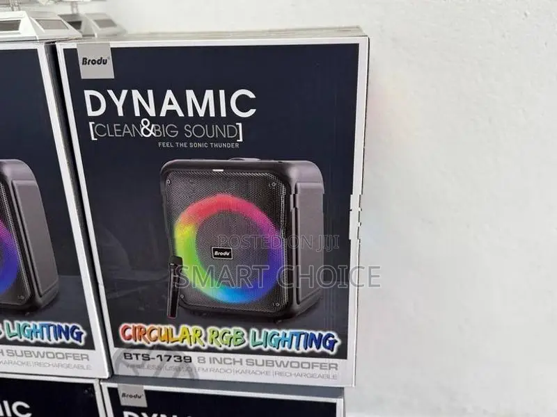 Brodu Bts-1739 Bluetooth Karaoke Speaker