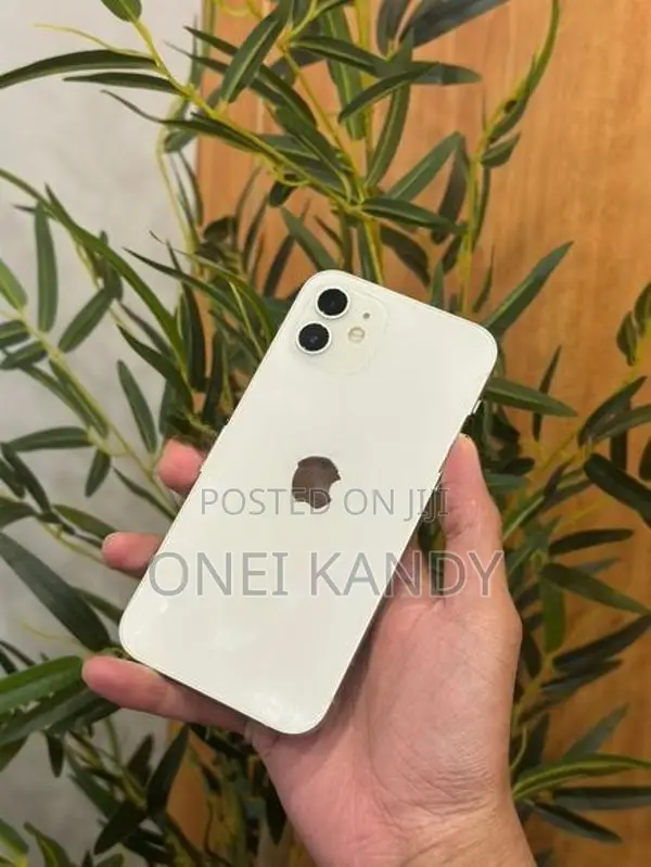 Apple iPhone 12 64GB (Used)