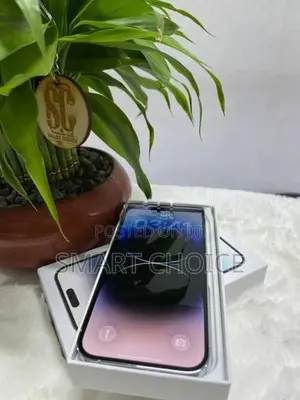 Apple iPhone 14 Pro 256GB 5G (Used)