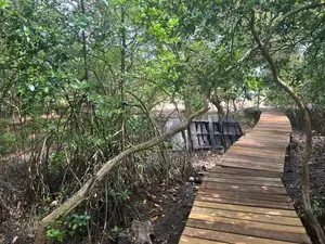 Negombo Lagoon Front Facing 82 Perch Land for Sale