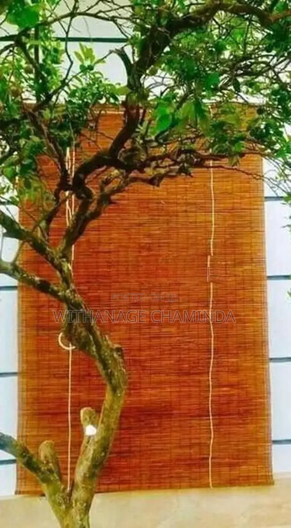 බට පැළළි
