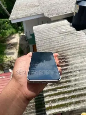 Apple iPhone 13 (Used)