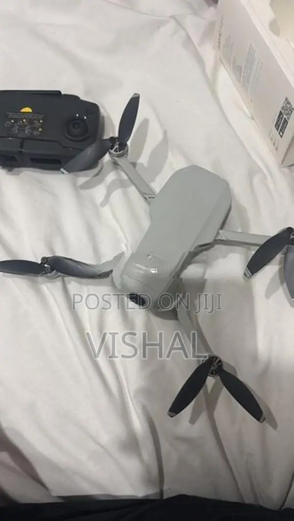 DJI Mavic Mini