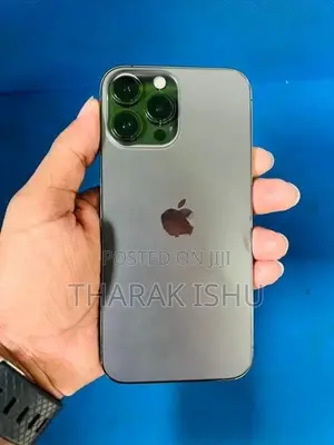 Apple iPhone 13 Pro Max (Used)