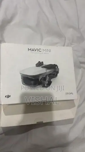 DJI Mavic Mini