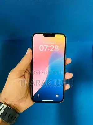 Apple iPhone 13 Pro Max (Used)