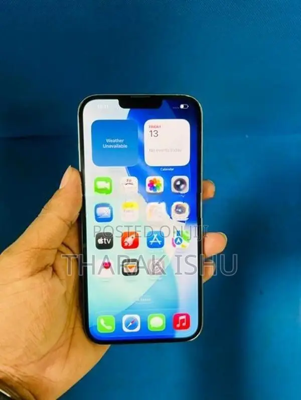 Apple iPhone 13 Pro Max (Used)