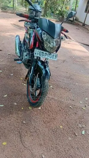 Bajaj Pulsar 135 2014