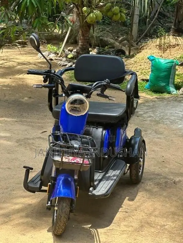 Electric Tricycle 2023