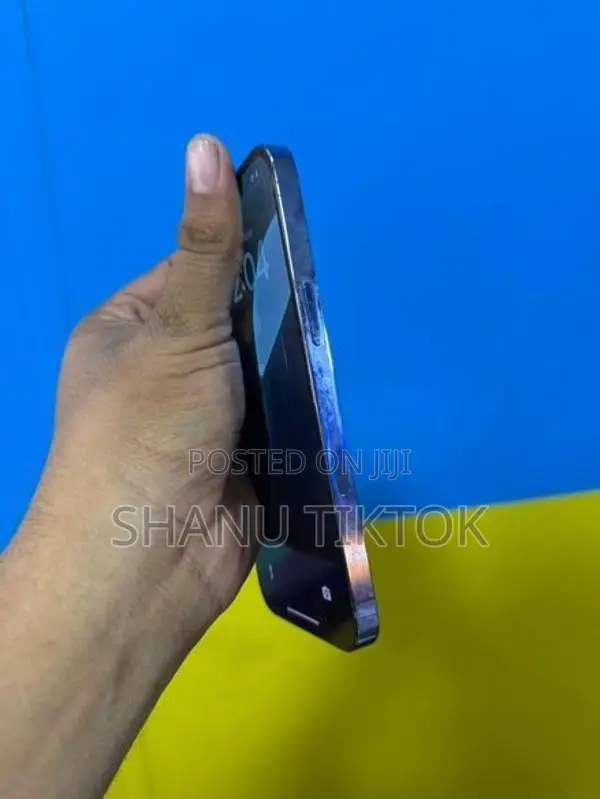 Apple iPhone 13 Pro 256GB (Used)