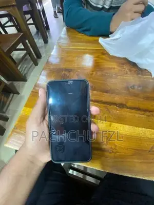Apple iPhone XS Max (Used)
