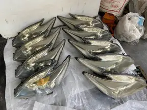 Toyota Prius W 30 Head Light