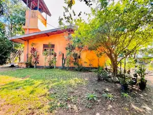 ඉතා වටිනා පර් 60 සමග ශක්තිමත් නිවසක් විකිණීමට මීගමුව