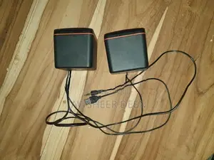 Speaker