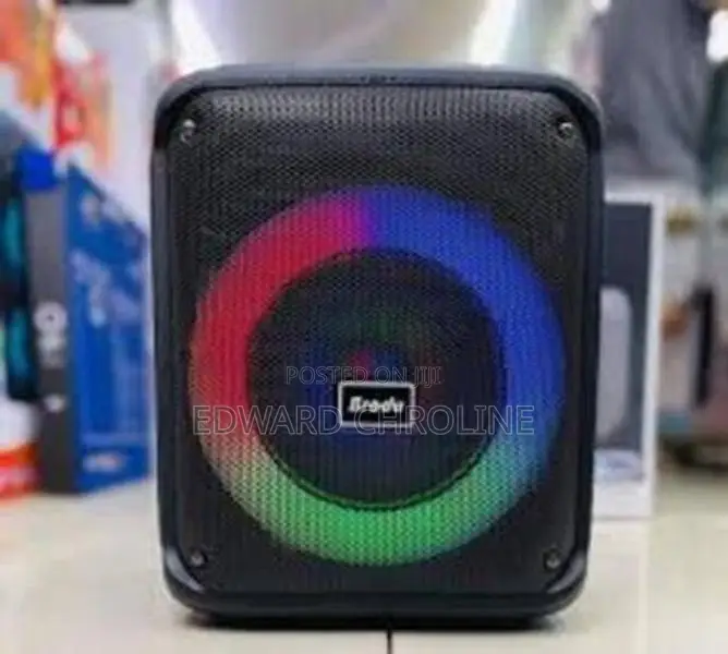 BTS-1935 6.5” Bluetooth Karaoke Speaker With Wireless Mic