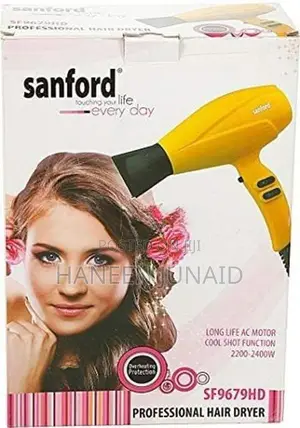 Sanford Professional Hair Dryer