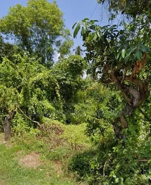 80 Perches bare Land for Sale at Kaduruduwa- Panadura.