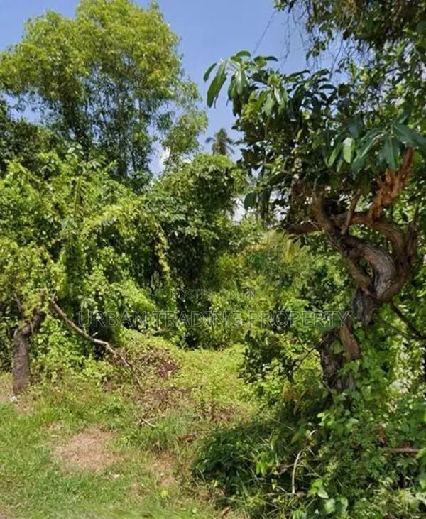 80 Perches bare Land for Sale at Kaduruduwa- Panadura.